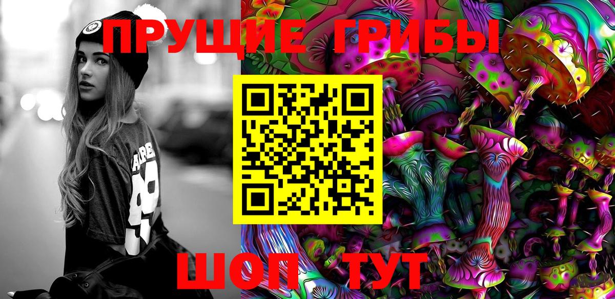 Псилоцибиновые грибы Cubensis Семёнов